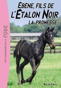 Picture of L'Étalon Noir 21 - Ébène, le fils de l'Étalon Noir