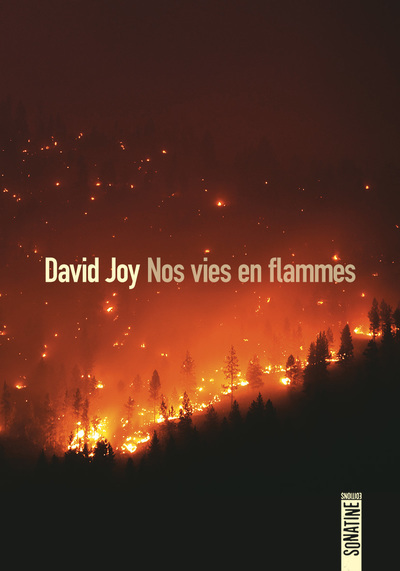 Picture of Nos vies en flammes