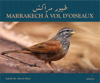 Image de Marrakech à vol d'oiseaux