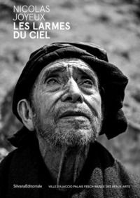 Image de NICOLAS JOYEUX : LES LARMES DU CIEL.