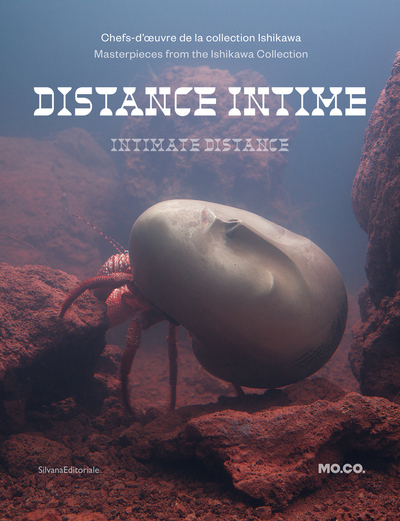 Image de DISTANCE INTIME, LES CHEFS D'OEUVRE DE LA COLLECTION ISHIKAWA