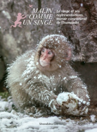 Image de Malin comme un singe - le singe et ses représentations, miroir caricatural de l'humanité