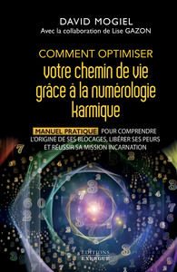 Picture of Comment optimiser votre chemin de vie grâce à la numérologie karmique - Manuel pratique pour comprendre l'origine de ses blocages, libérer ses peurs et réussir sa mission incarnation