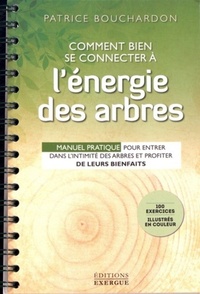 Picture of Comment bien se connecter à l'énergie des arbres
