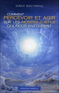 Picture of Comment percevoir et agir sur les mondes subtils qui nous entourent
