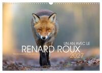 Image de Un an avec le renard roux (Calendrier mural 2027 DIN A3 vertical), CALVENDO calendrier mensuel