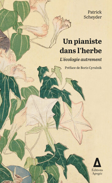 Image de Un pianiste dans l'herbe