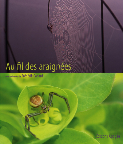 Image de Au fil des araignées