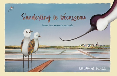Picture of Sanderling le bécasseau dans les marais salants