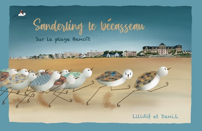 Picture of Sanderling le bécasseau sur la plage Benoît