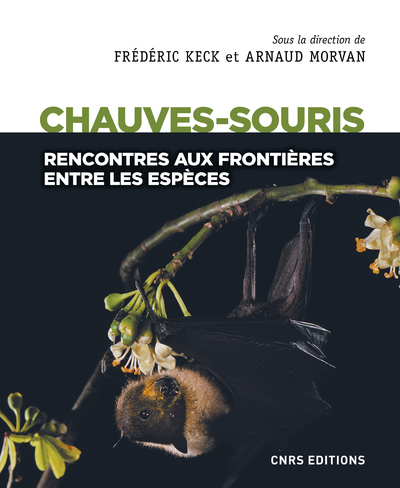 Picture of Chauves-souris - Rencontres aux frontières entre les espèces
