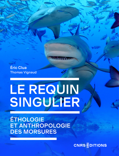 Image de Le requin singulier - Écologie et anthropologie de morsures