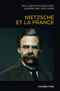 Image de Nietzsche et la France