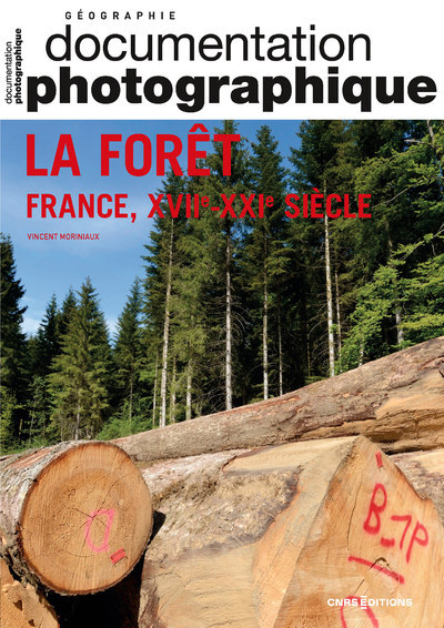 Picture of La forêt - France, XVIIe-XXIe siècle DP numéro 8150