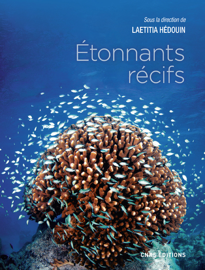 Picture of Etonnants récifs. Les écosystèmes coralliens