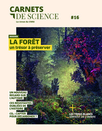 Image de Carnets de science - N° 16 Dossier : La forêt un trésor à préserver