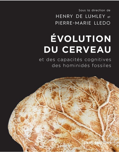 Image de Evolution du cerveau et des capacités cognitives des hominidés fossiles