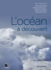 Image de L'océan à découvert