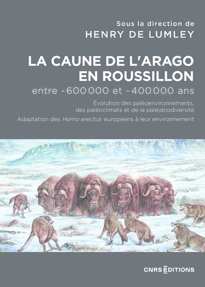 Picture of La Caune de l'Arago en Roussillon entre -600 000 et -400 000 ans - Les Homo Erectus européens dans l