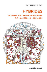 Image de Hybrides - Transplanter des organes de l'animal à l'humain
