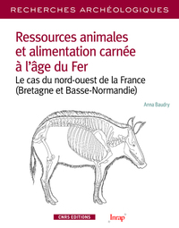 Picture of Recherches Archéologiques - numéro 13 Ressources animales et alimentation carnée à l'âge de Fer