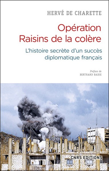 Image de Opération Raisins de la colère : L'histoire secrète d'un succès diplomatique français