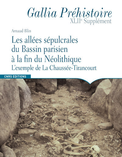 Image de Les allées sépulcrales du Bassin parisien à la fin du Néolithique