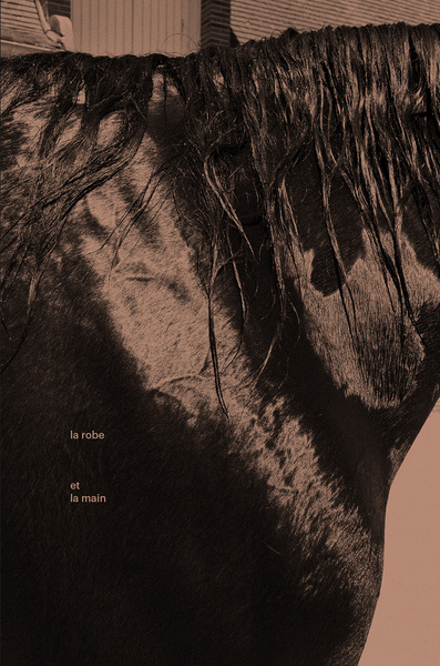 Image de La robe et la main