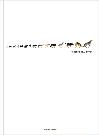 Picture of Chiens de Lanester