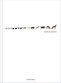 Picture of Chiens de Lanester