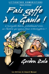 Image de Fais gaffe à ta Gaule
