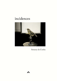Image de Incidences