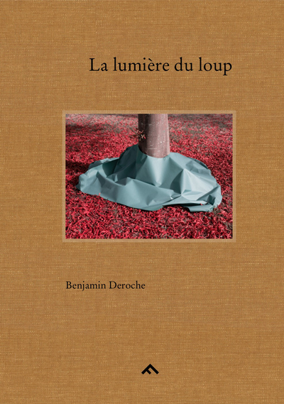 Image de La lumière du loup