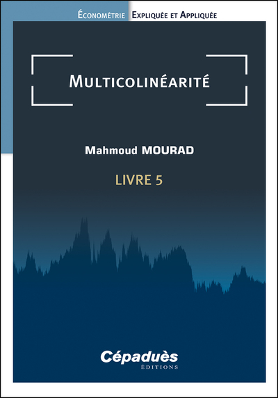 Image de Multicolinéarité. Livre 5. Économétrie Expliquée et Appliquée