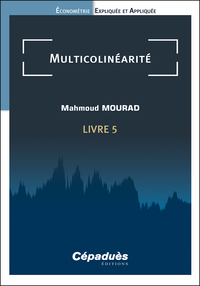 Image de Multicolinéarité. Livre 5. Économétrie Expliquée et Appliquée