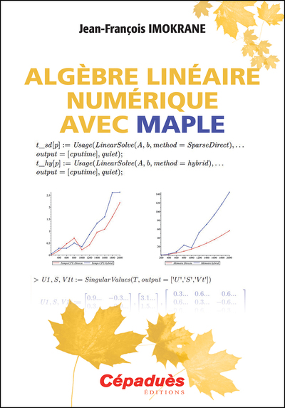 Image de Algèbre linéaire numérique avec MAPLE