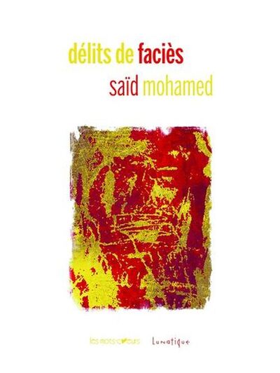 Picture of Délits de faciès