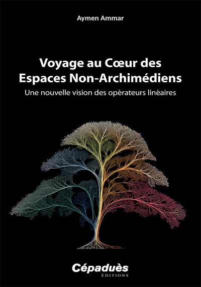 Image de Voyage au Cœur des Espaces Non-Archimédiens