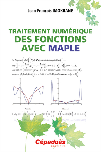 Image de Traitement numérique des fonctions avec MAPLE