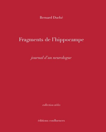 Picture of Frangments de l'hippocampe