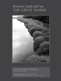 Image de Between Land and Sea : The Great Marsh, Photographs by Dorothy Kerper Monnelly /anglais