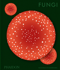 Image de Fungi
