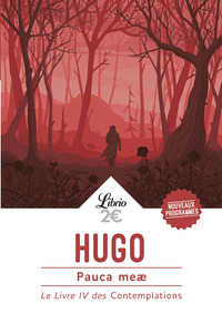 Image de Pauca meæ