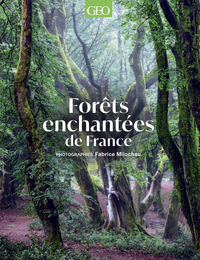 Picture of Forêts enchantées de France