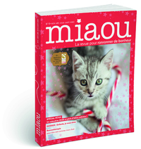 Picture of Miaou - Spécial fêtes et enfants