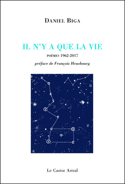 Picture of Il n'y a que la vie