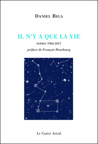 Picture of Il n'y a que la vie