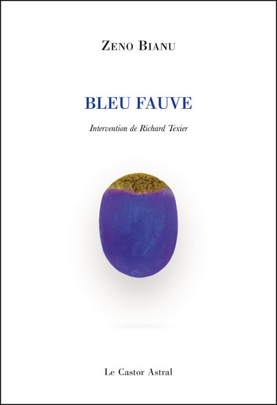 Picture of Bleu fauve