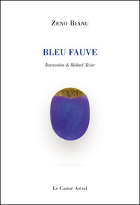 Picture of Bleu fauve