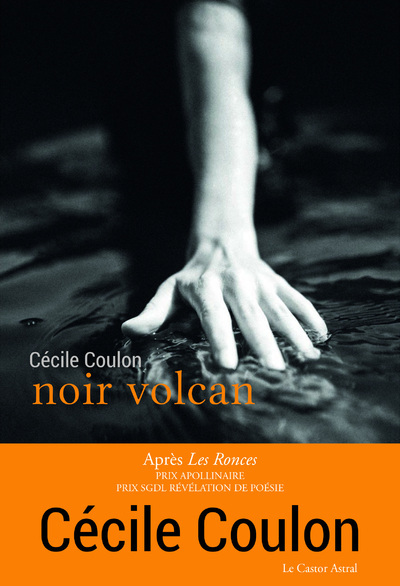 Picture of Noir Volcan